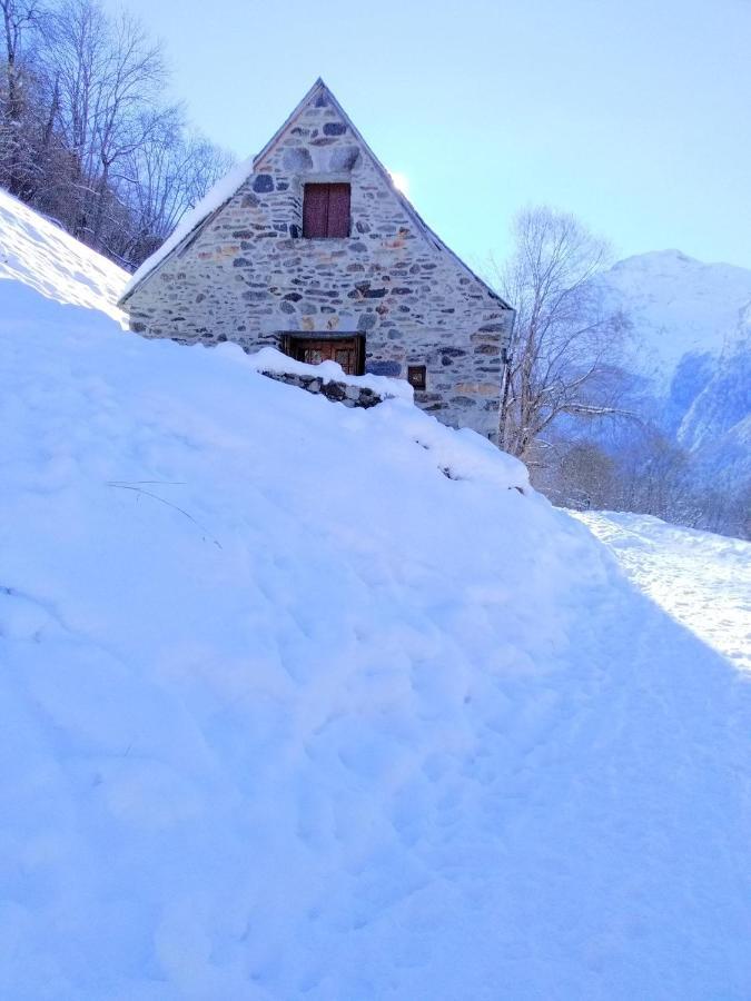 De Costes: Rustic Forest Retreat Near Slopes