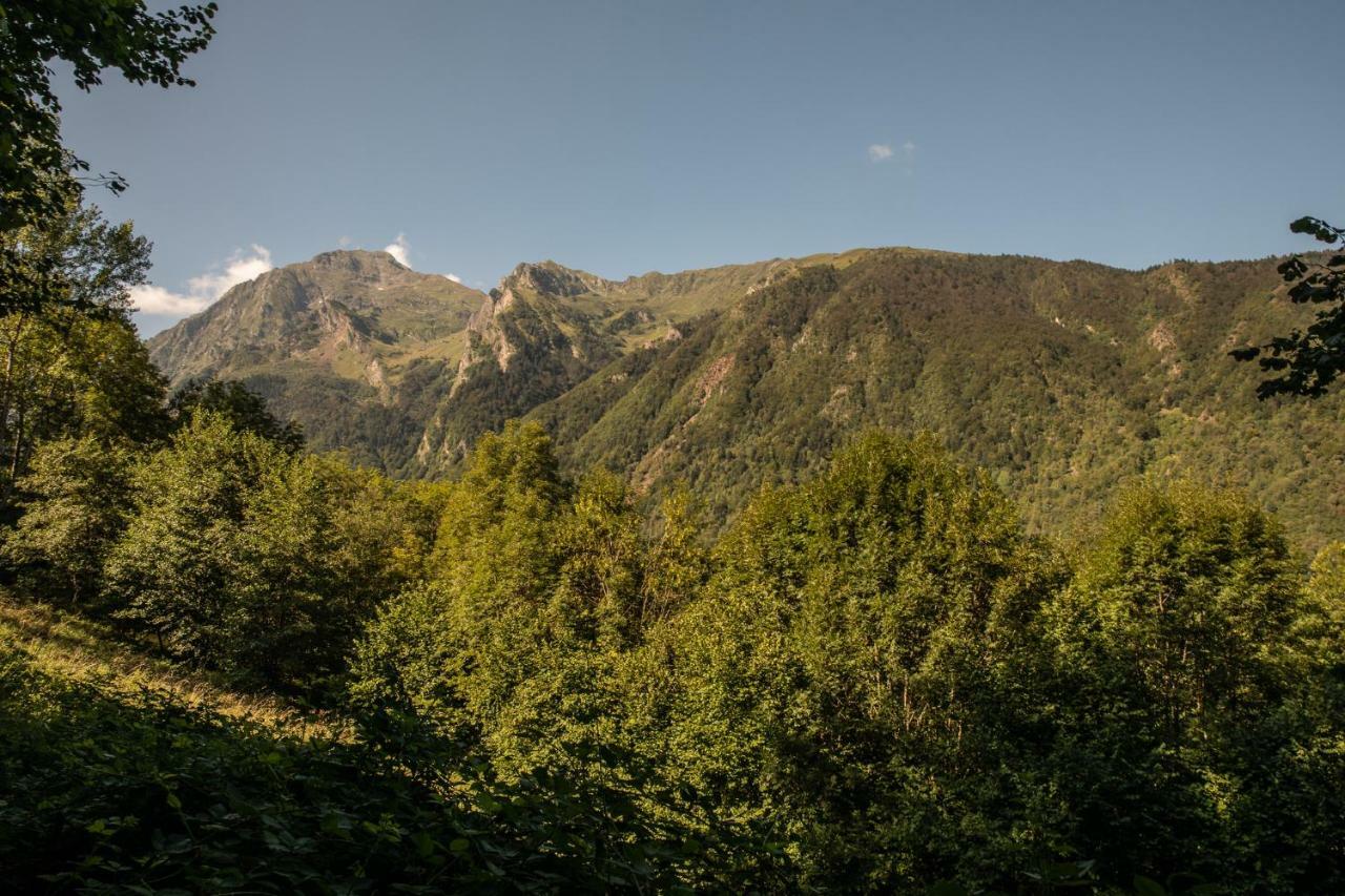 De Costes: Rustic Forest Retreat Near Slopes * Loudenvielle