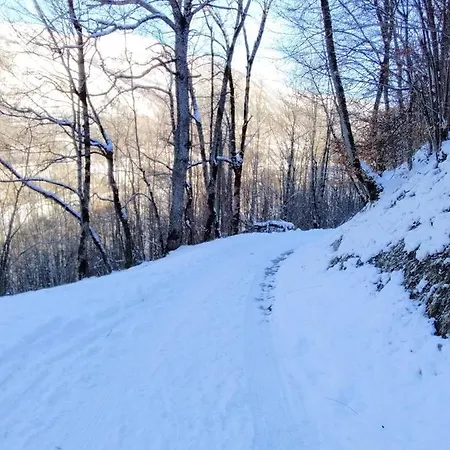 Gites Bergeries De Las Costes Insolites En Foret A Loudenvielle 4X4 Et Chaines Recommandes Par Temps De Neige, A 2Km Des Remontees Mecaniques Buitenkant foto