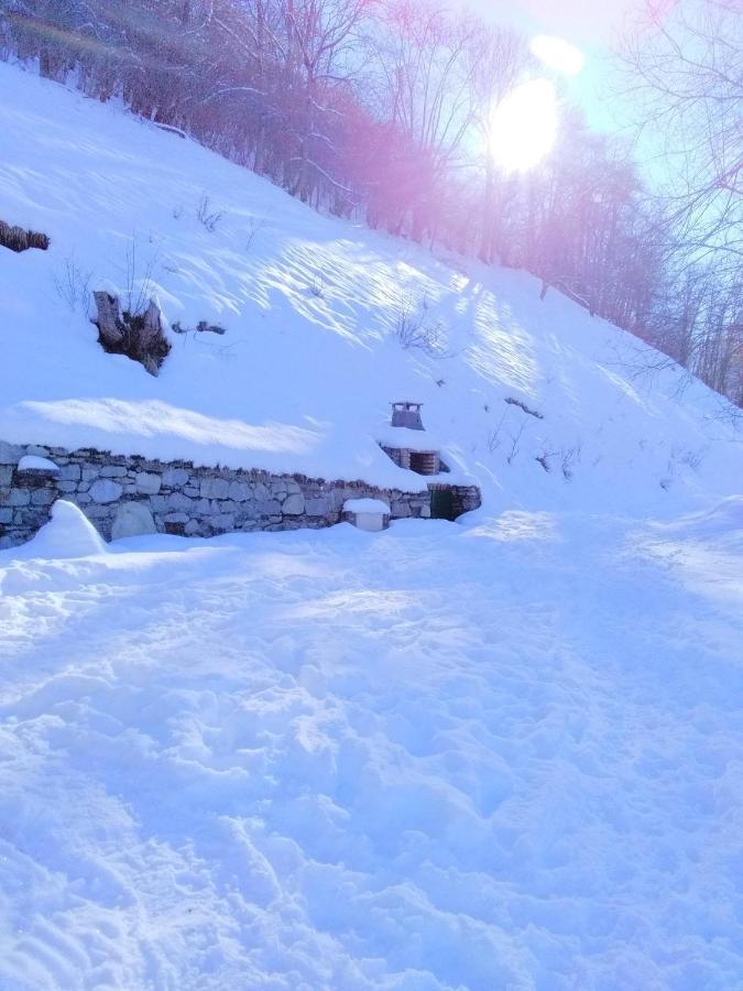 De Costes: Rustic Forest Retreat Near Slopes * Loudenvielle