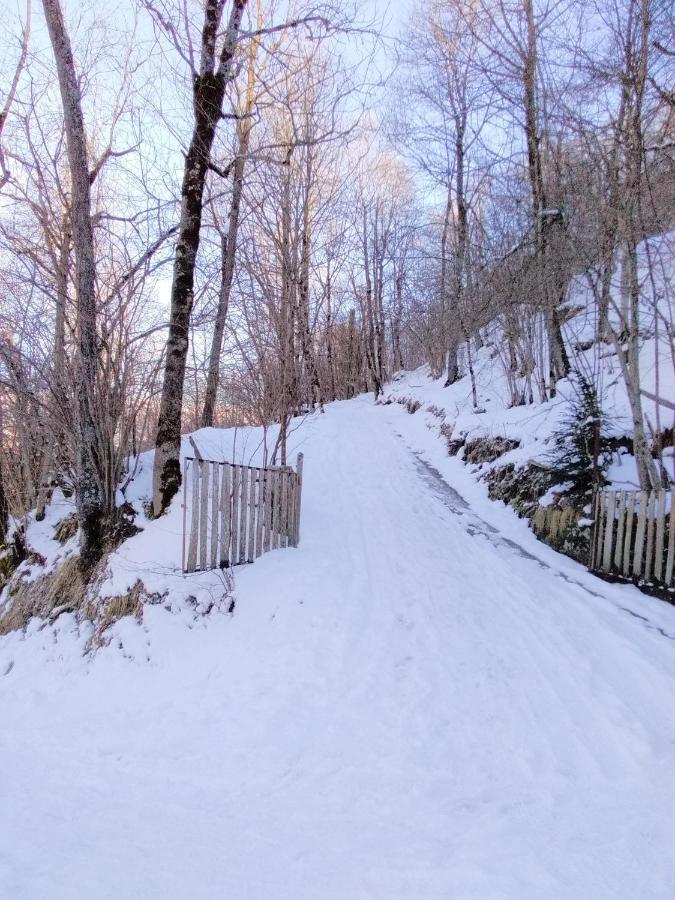 De Costes: Rustic Forest Retreat Near Slopes * Loudenvielle